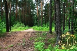 Земельный участок в элитном коттеджном поселке на берегу Финского залива
