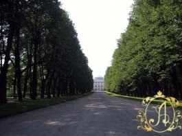 Участок напротив Павловского дворца